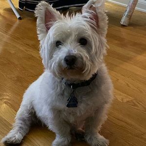 Meet your Posher, Deja